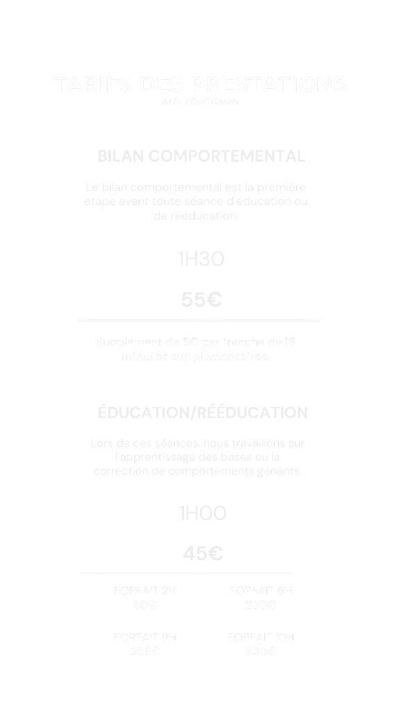 éducateur canin à hennebont