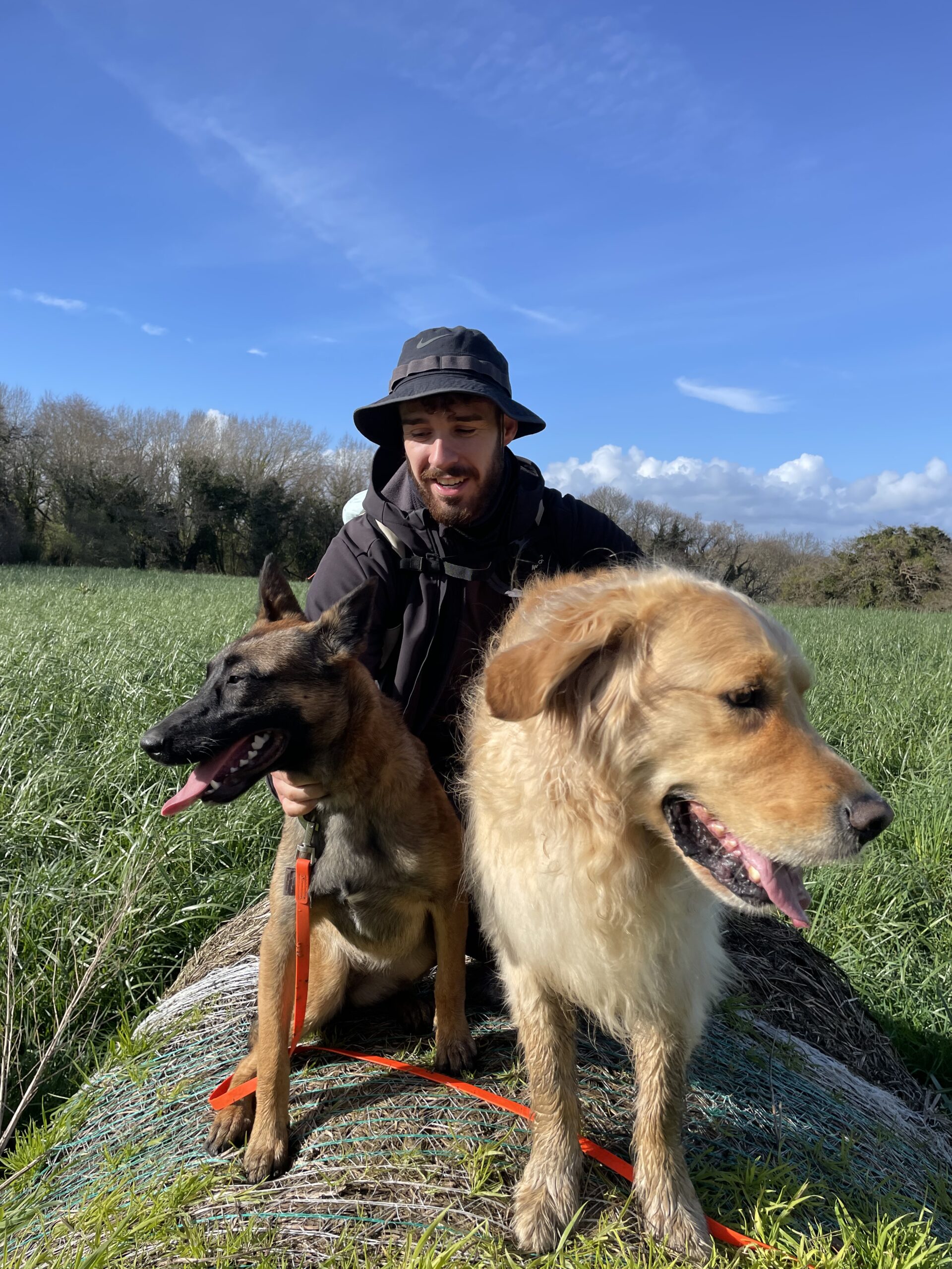 éducateur canin à hennebont