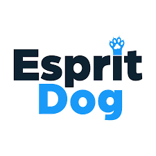 esprti dog educateur canin